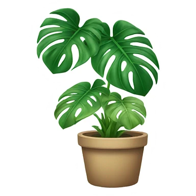 Monstera plant sticker