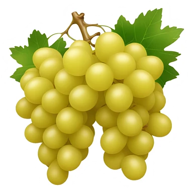 Yellow color Grapes sticker