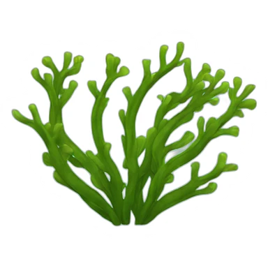 kelp sticker