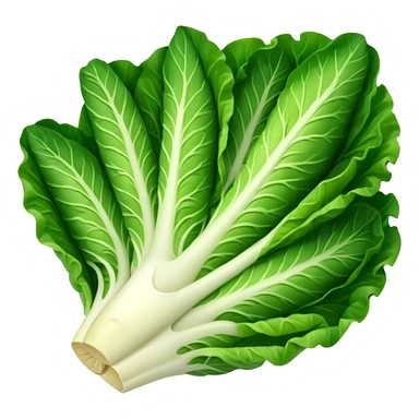 Romaine salad with no tomatoes sticker