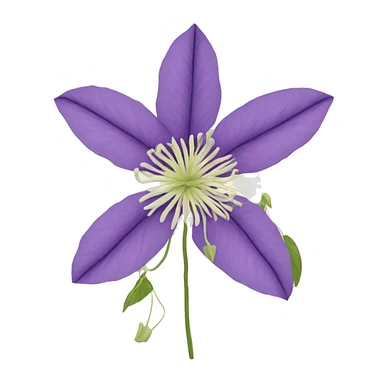 clematis sticker