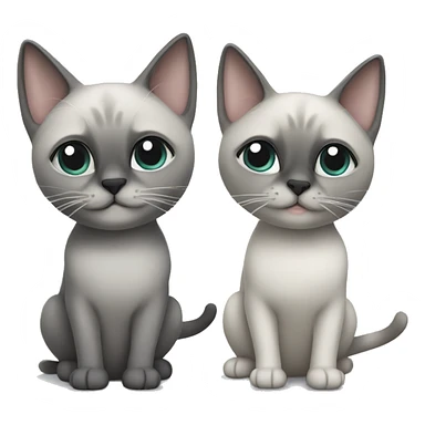 Two grey cats siamese  sticker