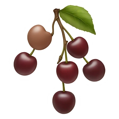 Beige cherry sticker