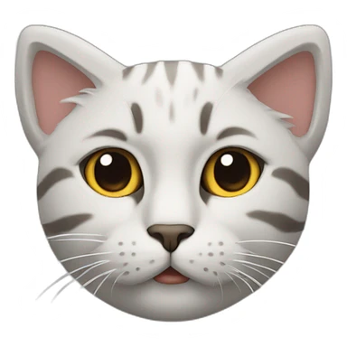 A cat with a Jordan 1 sticker