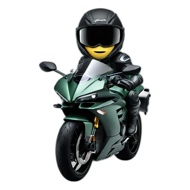 Ninja h2r sticker