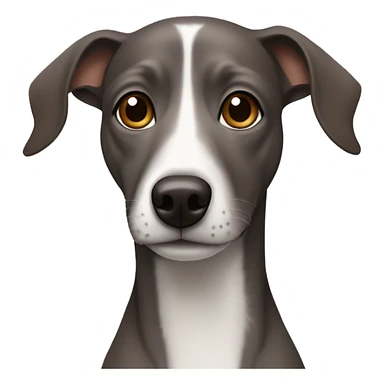 Dark Grey brown Formosa mountain dog and Italian greyhound mix sticker