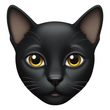 black cat with white stripe on nose and forehead sticker