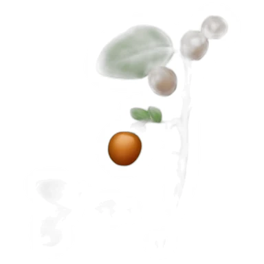 Coffee plant sticker