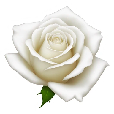 a white rose  sticker