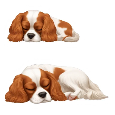 Cavalier King Charles spaniel sleeping  sticker