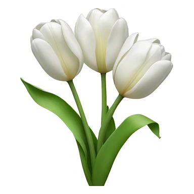 White tulips with ribbon  sticker