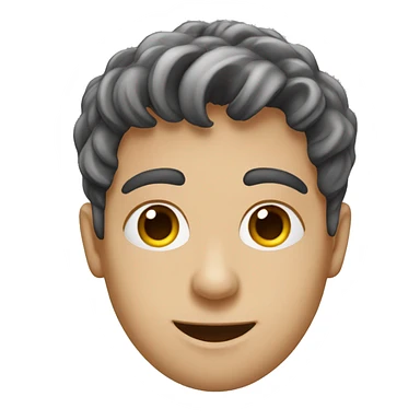 noam hasson student sticker