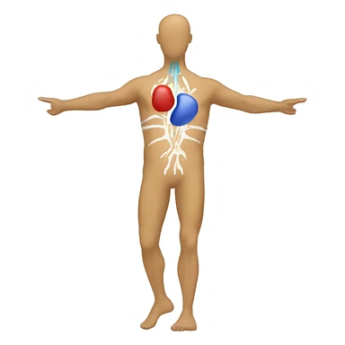 Kinesiology  sticker