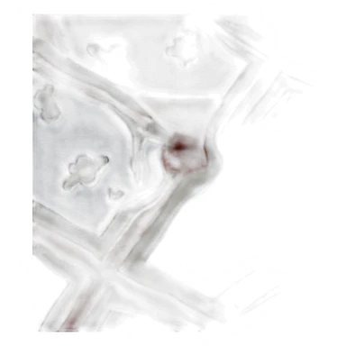 Drapeau assyro-chaldéen sticker