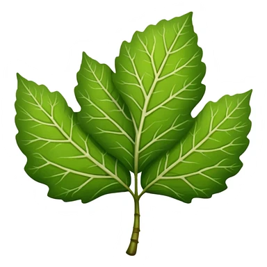 linden tree leaf sticker