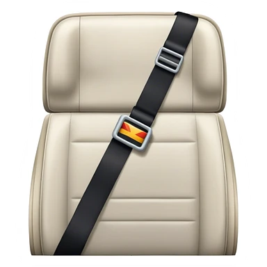 plane seat belt sticker