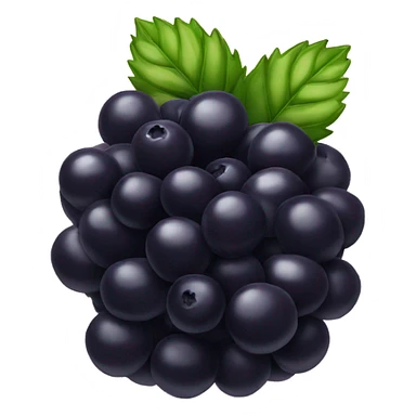 black berry  sticker