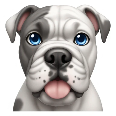grey bulldog with blue eyes sticker