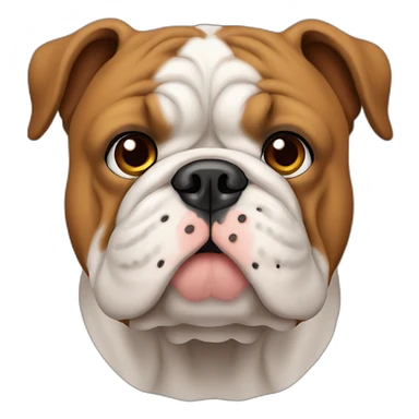 cara de perro bulldog todo color canela front view sticker