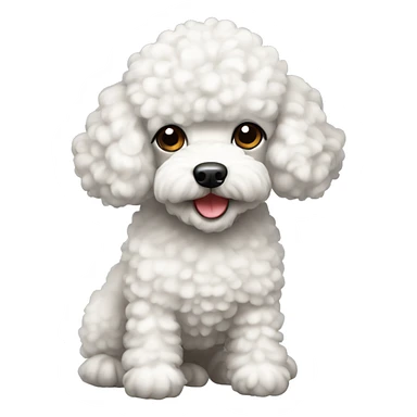 White toy poodle sticker