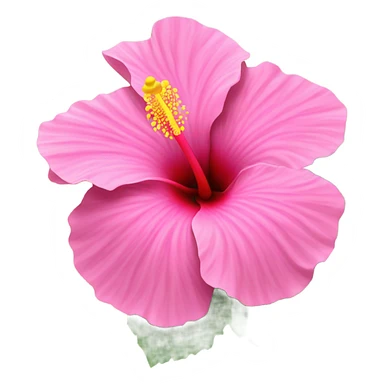 Pink hibiscus flower sticker