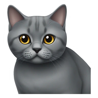 british shorthair black and grey cat sticker
