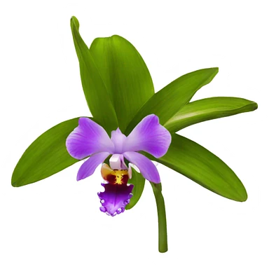 orquidea feliz sticker