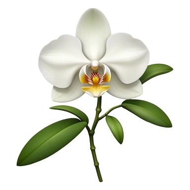 Orchid flower sticker