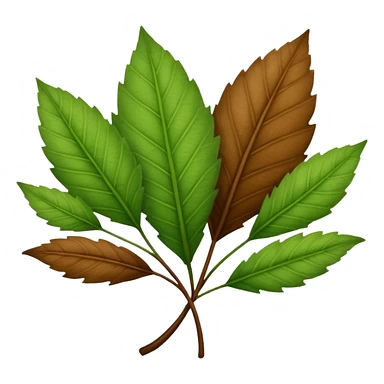 brown and green leaf several sticker