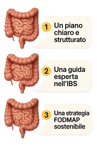 emoji stile iphone di 3 targhette numerate con intestino realistico davanti ad ogni targhetta, le targhette sono:
"1 – Un piano chiaro e strutturato
2 – Una guida esperta nell’IBS
3 – Una strategia FODMAP sostenibile"
, iperrealistico 4k sticker
