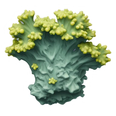 lichen with corall sticker