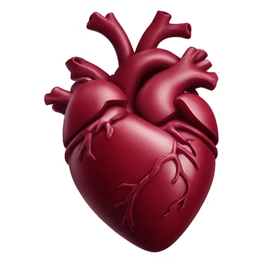 Burgundy anatomical heart  sticker
