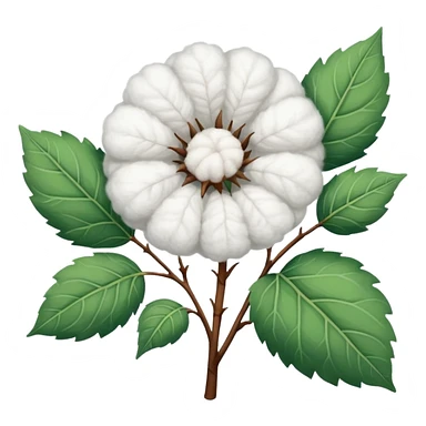 A cotton plant sticker