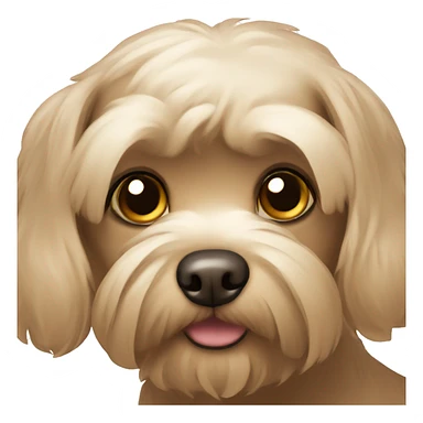 Brown maltese dog sticker