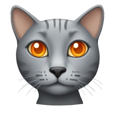 Grey cat with orange eyes  sticker