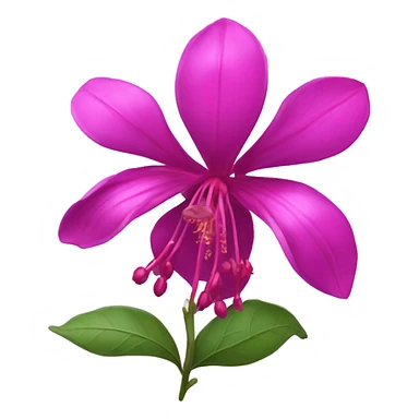 Fuchsia sticker