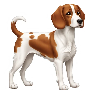 Brittany Dog Breed Full Body sticker