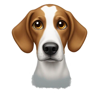 question mark on dog’s head sticker