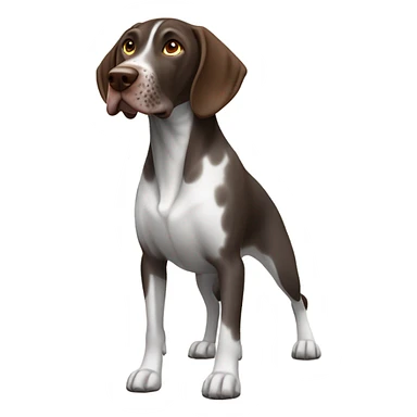 German shorthair pointer  sticker