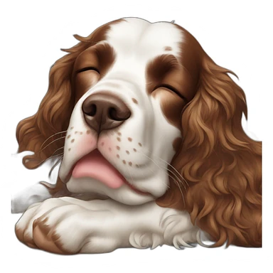 Springer spaniel sleeping sticker