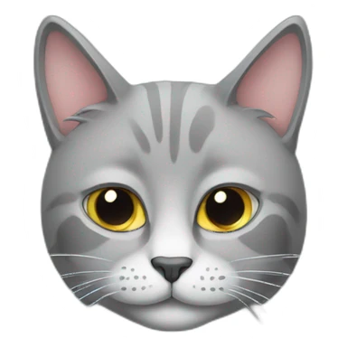 Gray cat with the letter s on his face sticker