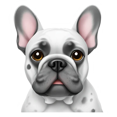 French Bulldog grey with white speckles sticker