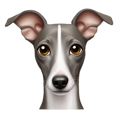 italian greyhound sticker