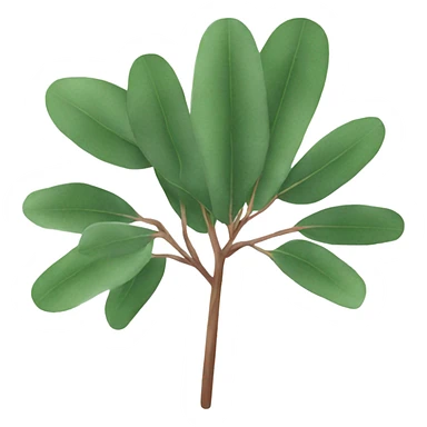 Eucalyptus  sticker