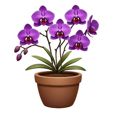 Purple Orchid in a clay pot sticker