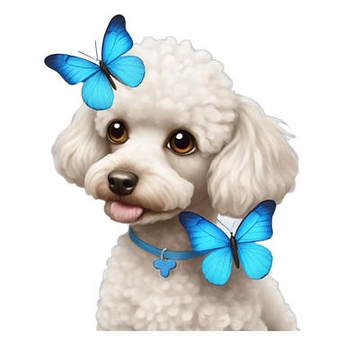 Toy poodle with blue butterfly  sticker