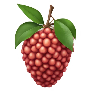 realistic litchi sticker