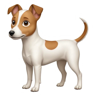 a full body white jack russel looking dog the size of a kelpie with light brown ears and a light brown patch on one eye and a large snout sticker