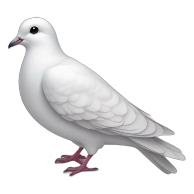 white dove sticker