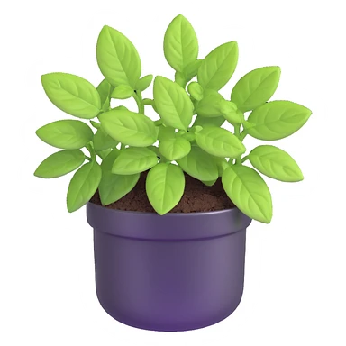 Small sprouts of Plectranthus Verticillatus with perfectly round leaves growing in a shiny metallic pot sticker
